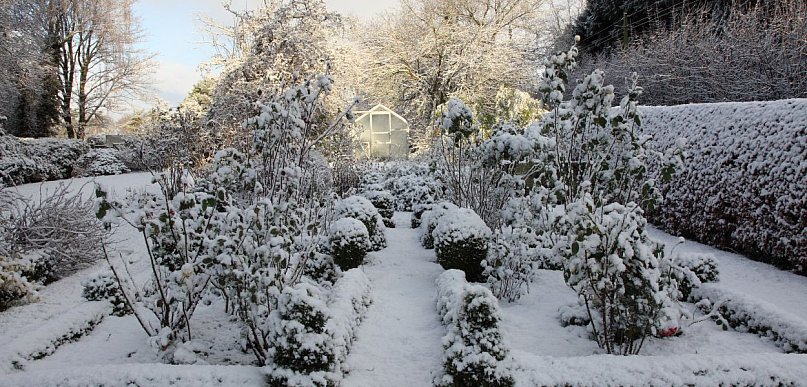 Luty w ogrodzie. 5 rzeczy, które możesz zrobić już w ten weekend
