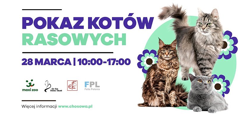Mrucząca sobota w CH Osowa - pokaz kotów rasowych i targi dla pupili