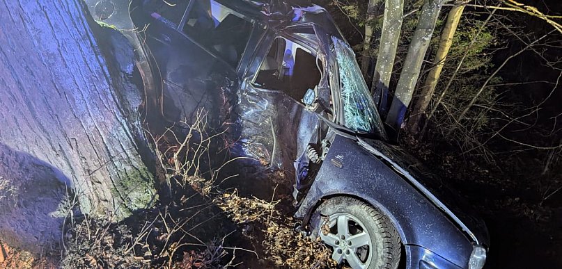 Złota Góra. Osobówka uderzyła w drzewo. Kierowca został poważnie ranny