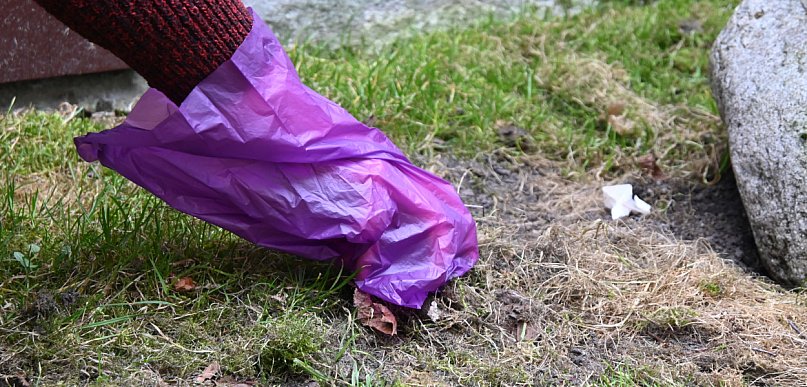 Koniec z psimi "niespodziankami"? Gm. Żukowo rozda 10 tys. woreczków