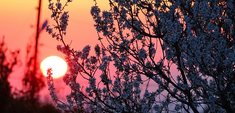 20 marca witamy astronomiczną wiosnę. Niezwykłe zjawiska czekają na niebie!