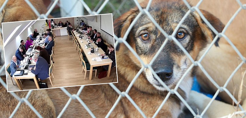 Pomimo skarg Somonino zostaje przy kontrowersyjnym schronisku