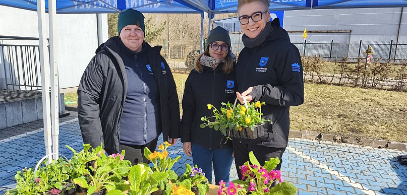 Kartuzy. Akcja "Kwiaty za elektroodpady". Rozdano 5 tys. wiosennych sadzonek