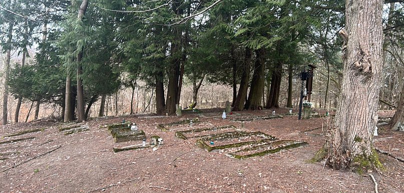 Kamela. Ktoś zaśmieca las przy dawnym cmentarzu. Gmina apeluje