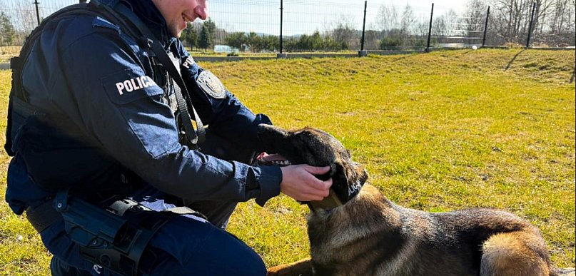 Kartuzy. Bruno i Orzech pilnują bezpieczeństwa. Dołącz do ich zespołu