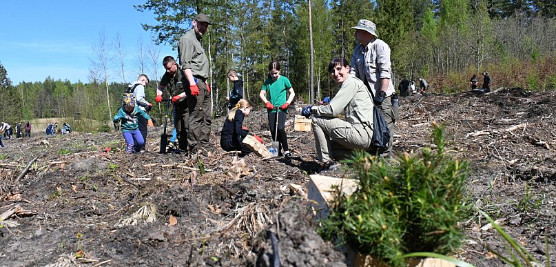 Posadź las wspólnie z kartuskimi leśnikami. Trwają zapisy