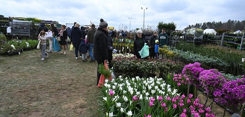 W Lubaniu odbędą się targi dla miłośników ogrodnictwa i pszczelarstwa