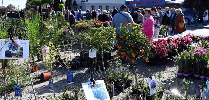 Sierakowice. Gratka dla miłośników ogrodnictwa - Święto Kwiatów i Krzewów