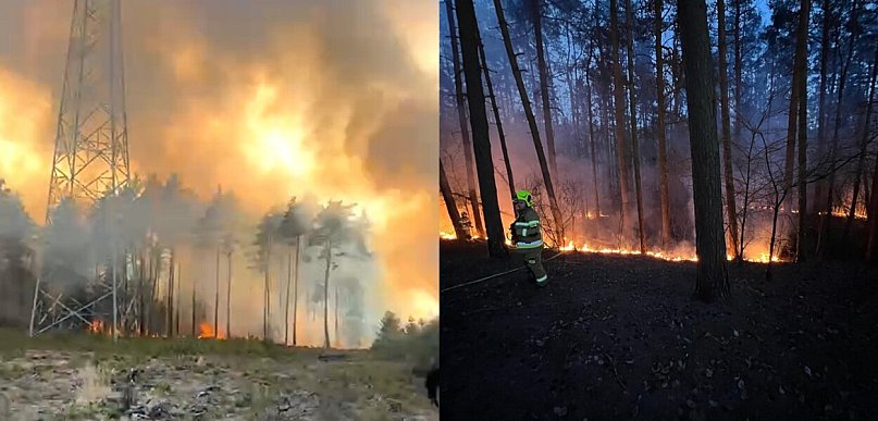 W lasach jest skrajnie sucho. Leśnicy: apelujemy o ostrożność