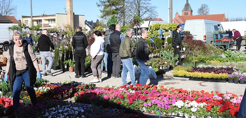 Sierakowice. Święto kwiatów i krzewów rozpoczęło majówkę