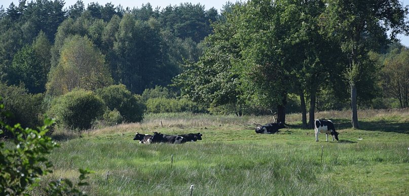 Sulęczyno. Jeszcze kilka dni na zgłaszanie pięknych zagród i wsi do konkursu