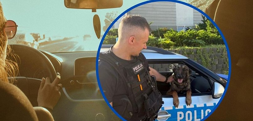 Przed nami upalne dni. Nie zostawiaj w samochodzie dzieci i zwierząt!