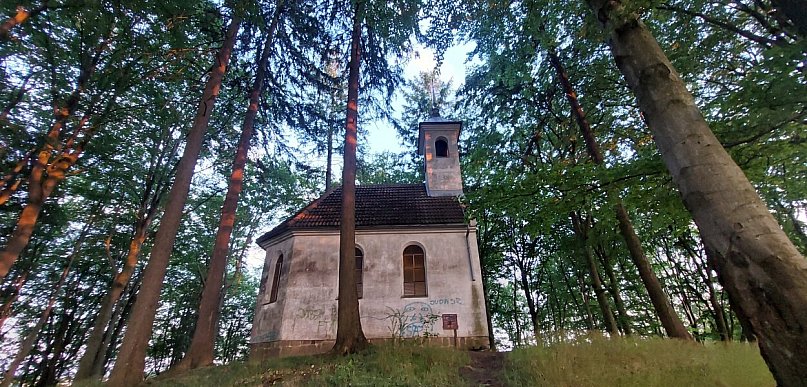 Będzie nowa atrakcja Kartuz? Zielone światło dla parku i wieży widokowej