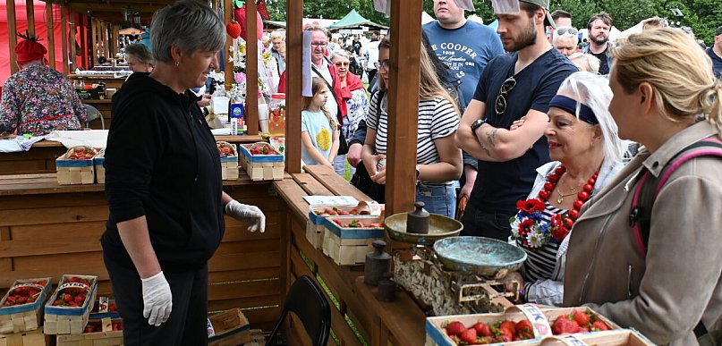 Festiwal Truskawek Kaszubskich już wkrótce. Jaki rekord w tym roku?