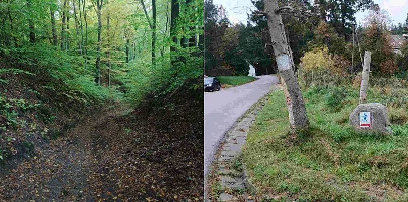 Aktywna sobota w Sulminie: otwarcie świeżo odnowionych tras nordic walking - 72675