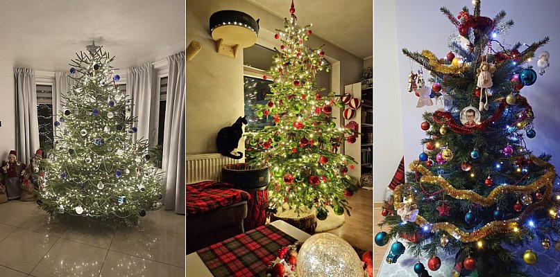 Mamy pierwsze zdjęcia Waszych choinek. Czekamy na więcej! - 75607