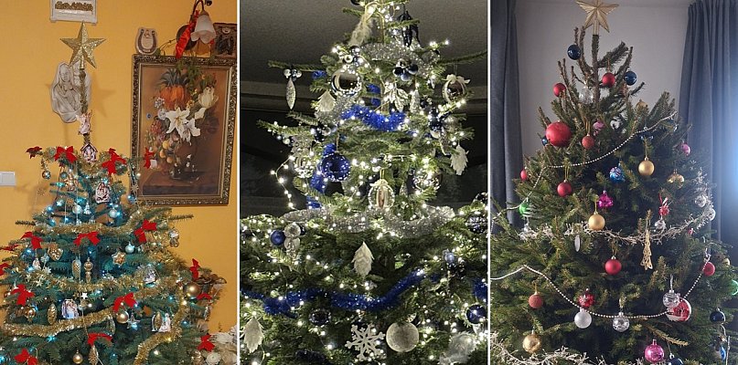 Przybywa zdjęć Waszych choinek. Są piękne! - 75607
