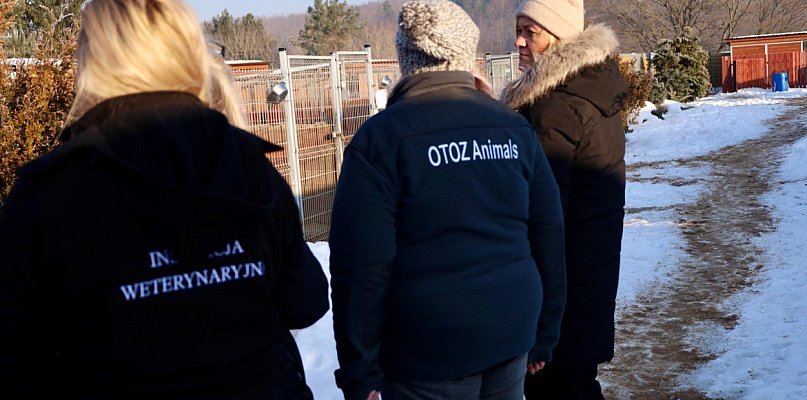 W województwie pomorskim ruszyły kontrole schronisk dla zwierząt