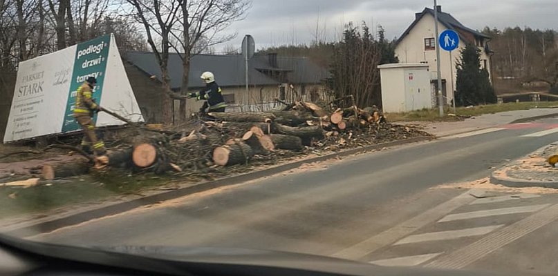 Region. Połamane drzewa i konary. Strażacy interweniują