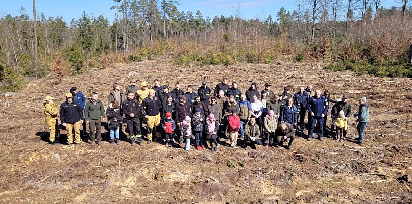 Leśnicy wspólnie z mieszkańcami posadzili las niedaleko Bąckiej Huty