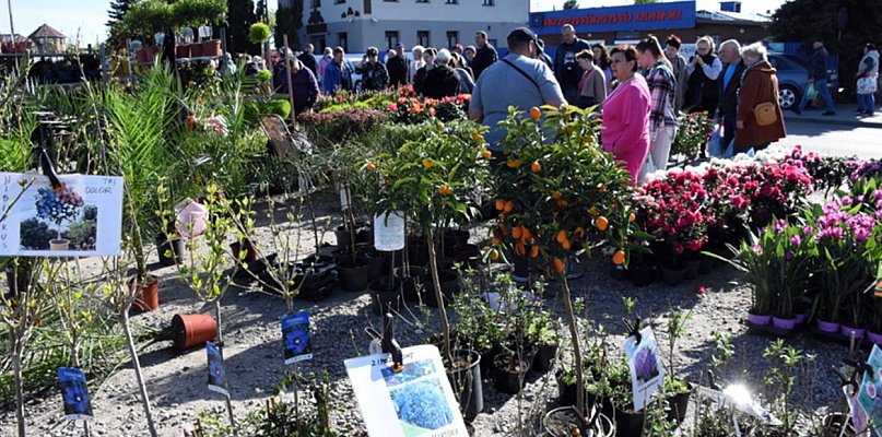 Sierakowice. Gratka dla miłośników ogrodnictwa - Święto Kwiatów i Krzewów