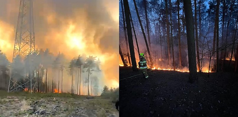 W lasach jest skrajnie sucho. Po dramatycznym pożarze apel o ostrożność