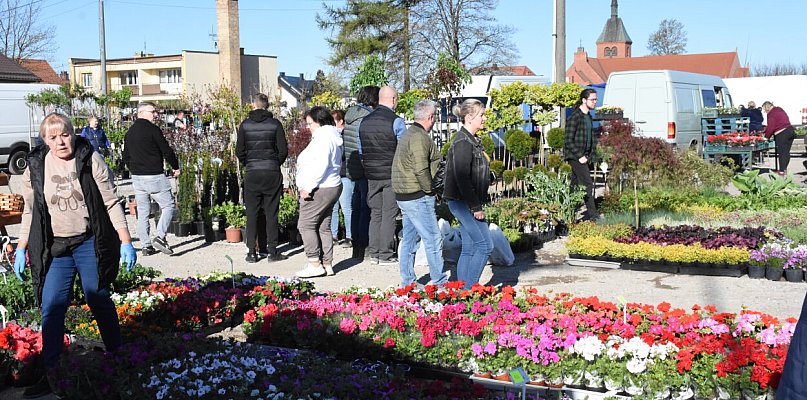Sierakowice. Święto kwiatów i krzewów rozpoczęło majówkę