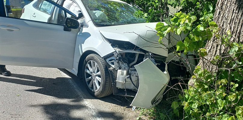 Borucino. Osobówka uderzyła w drzewo. Jedna osoba poszkodowana
