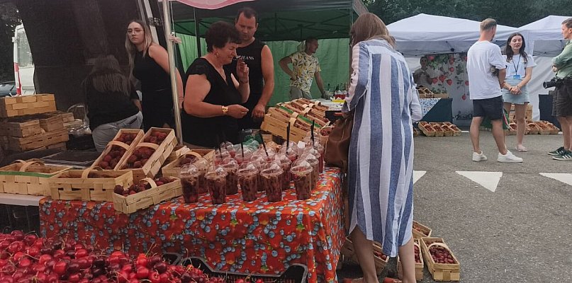 Żar leje się z nieba, a na Złotej Górze trwa Truskawkobranie