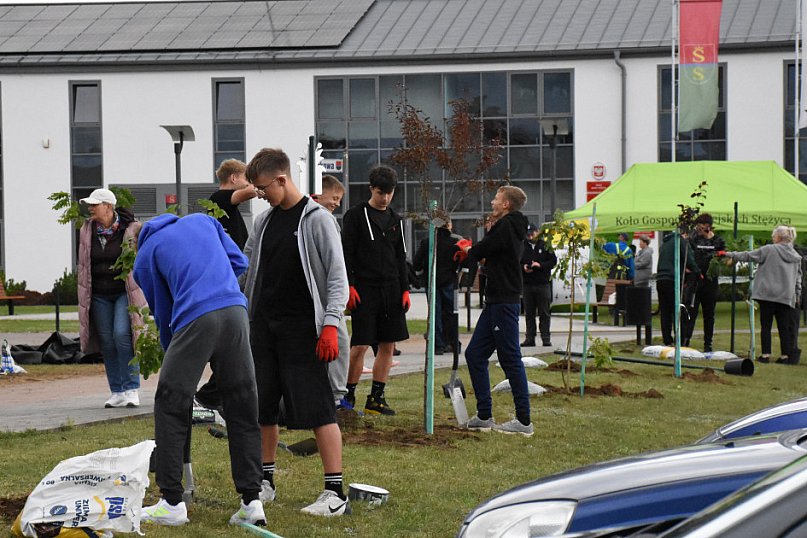 Kaszubskie Drzewa Wartości w Stężycy