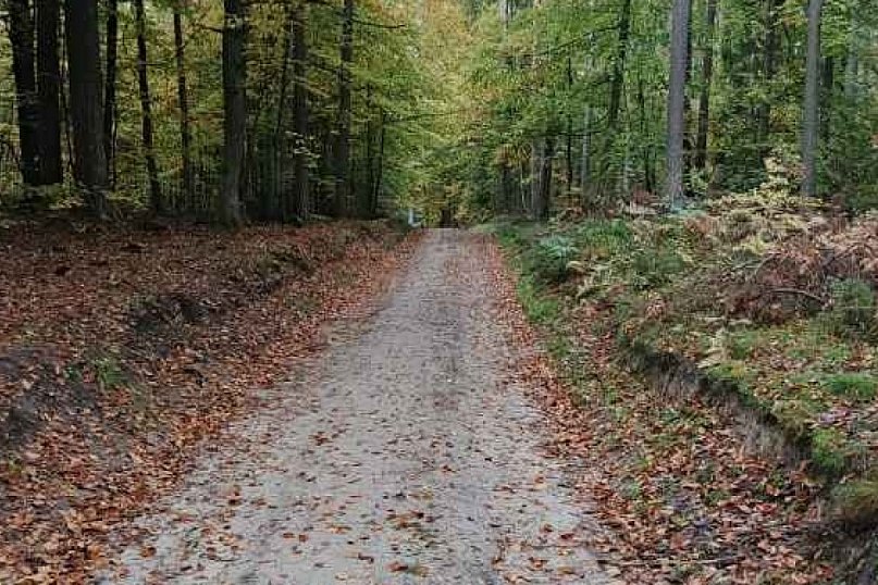 Trasy Nordic Walking w Sulminie