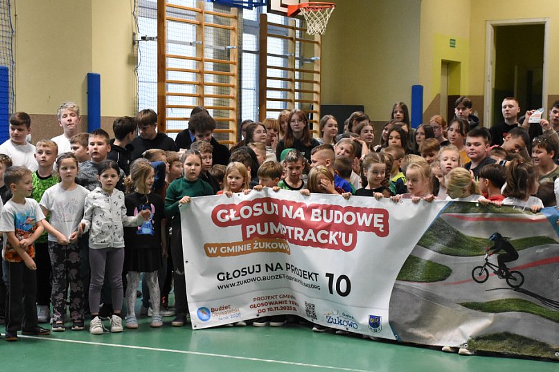 Niestępowo - apel ws. budżetu obywatelskiego