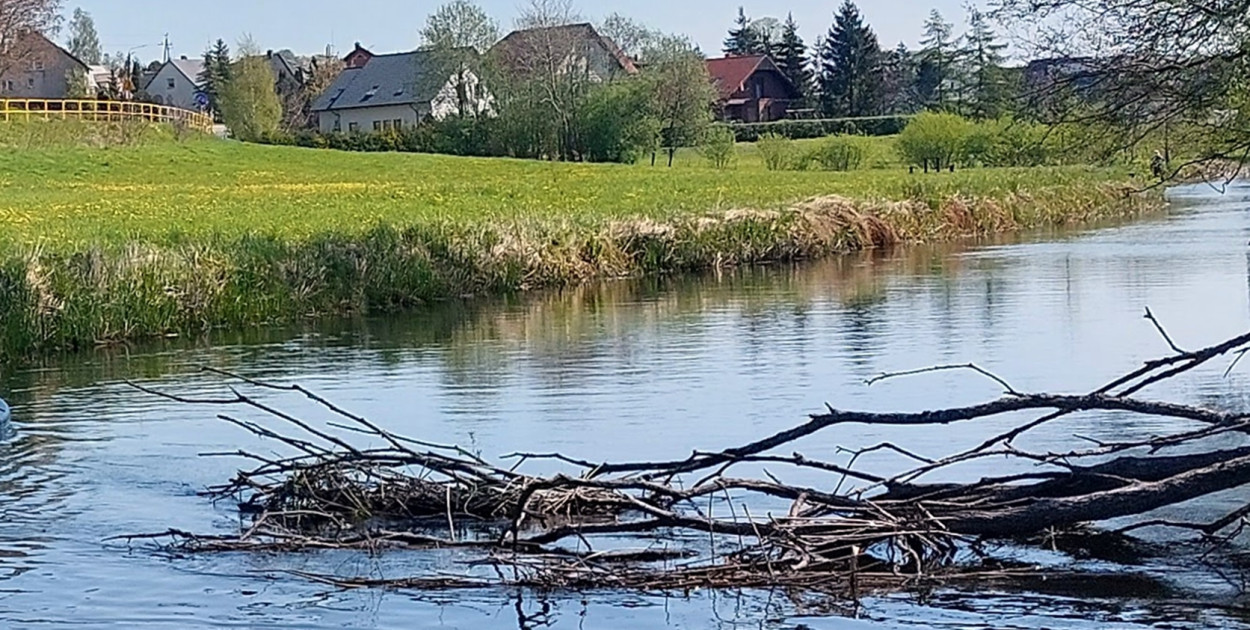 Goręczyno. W Raduni znaleziono ciało mężczyzny
