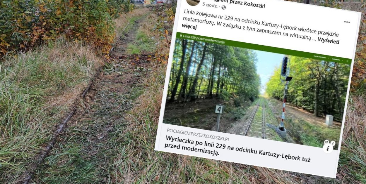 fot.kolaż.oprac.W.D.