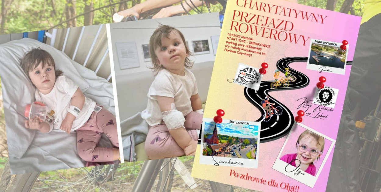 fot.kolaż.oprac.W.D./mat.pras./siepomaga.pl