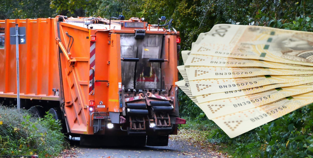 Zdj. ilustracyjne. fot. pixabay