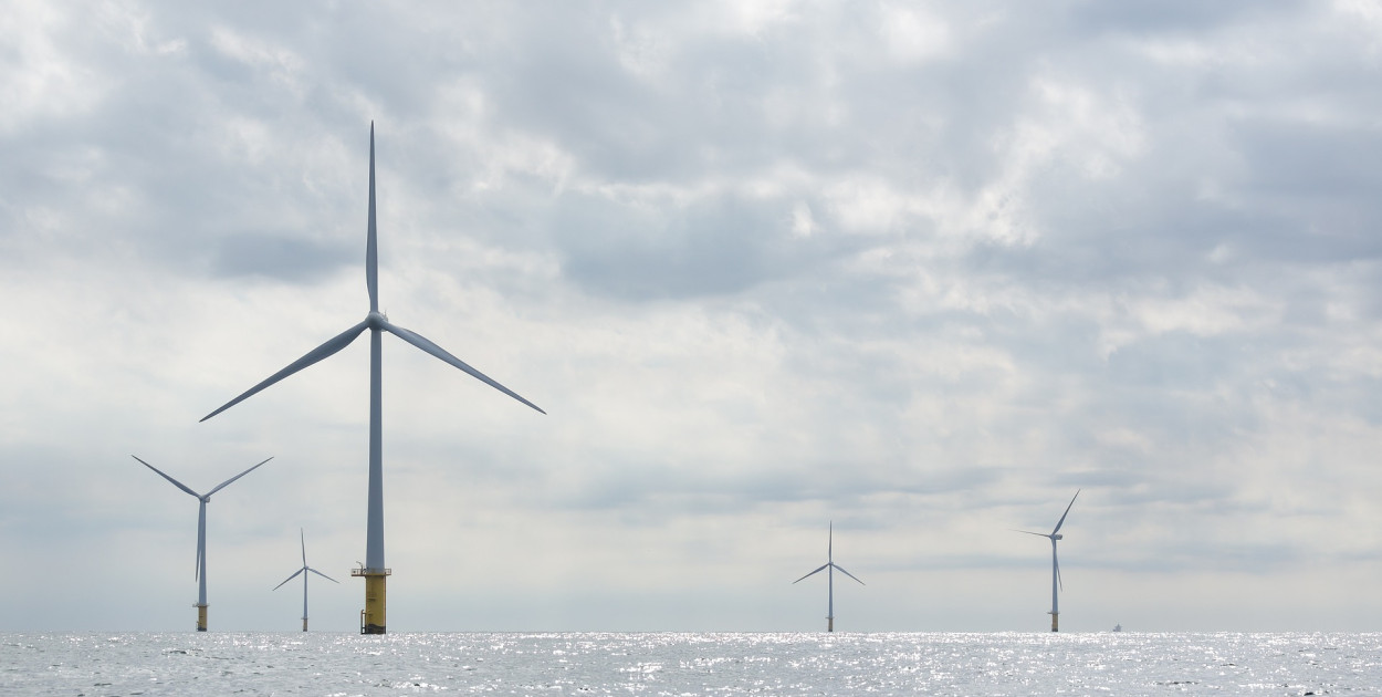 Zdj. ilustracyjne. fot. pixabay