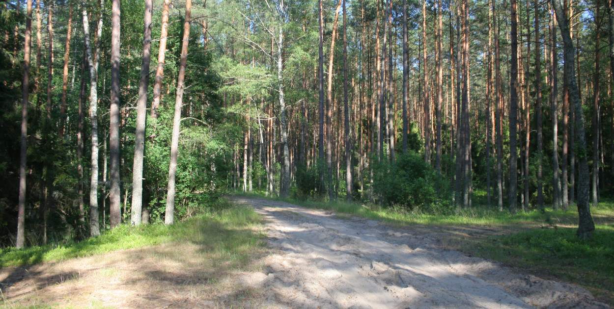 Autorstwa © Paweł Marynowski / Wikimedia Commons, CC BY-SA 3.0, https://commons.wikimedia.org/w/index.php?curid=11563396