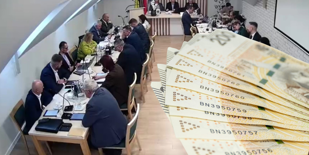 fot. screen z: https://radni.tv/transmisja/?id=8371, fot. pixabay