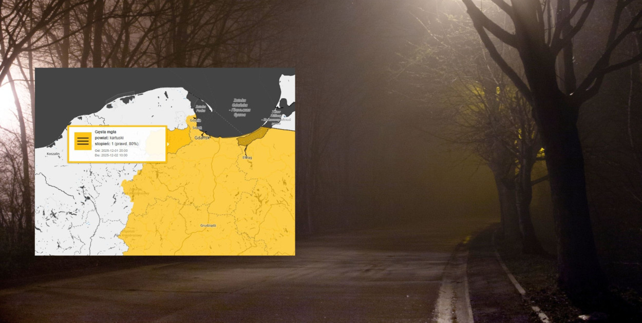 Zdj. ilustracyjne. fot. pixabay