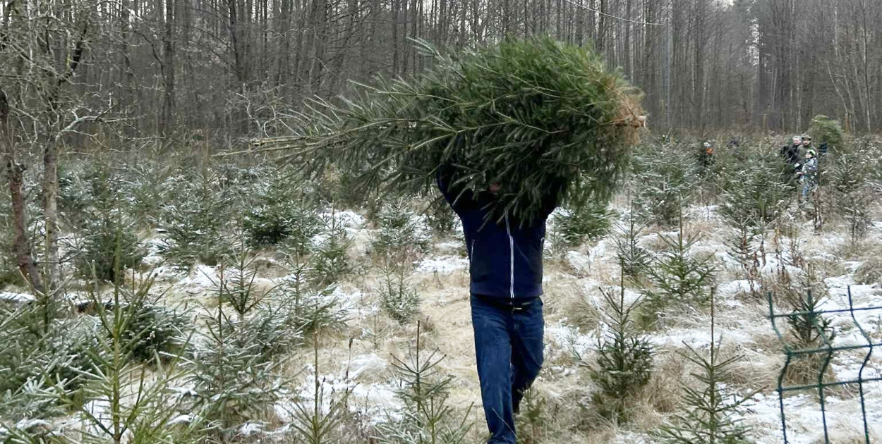 fot. Nadleśnictwo Kartuzy