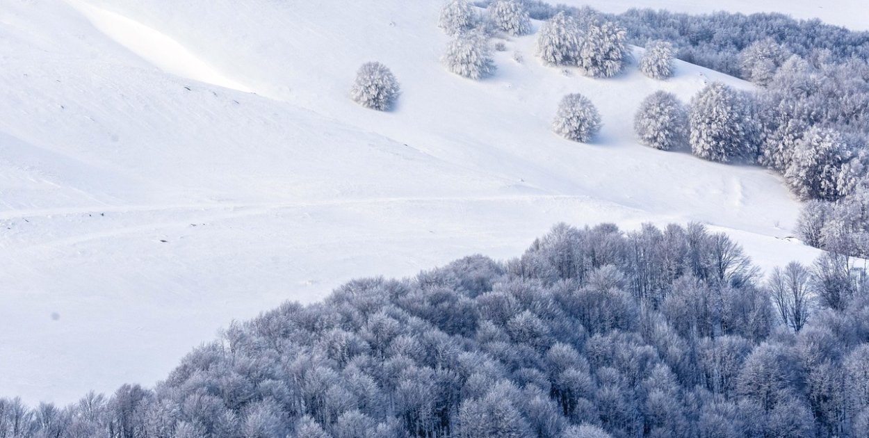 Obraz Ioannis Ioannidis z Pixabay