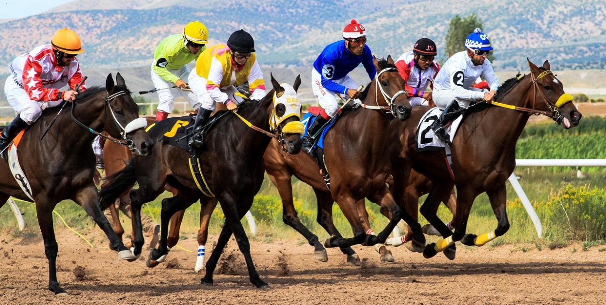 pixabay.com Licencja: https://pixabay.com/pl/service/license