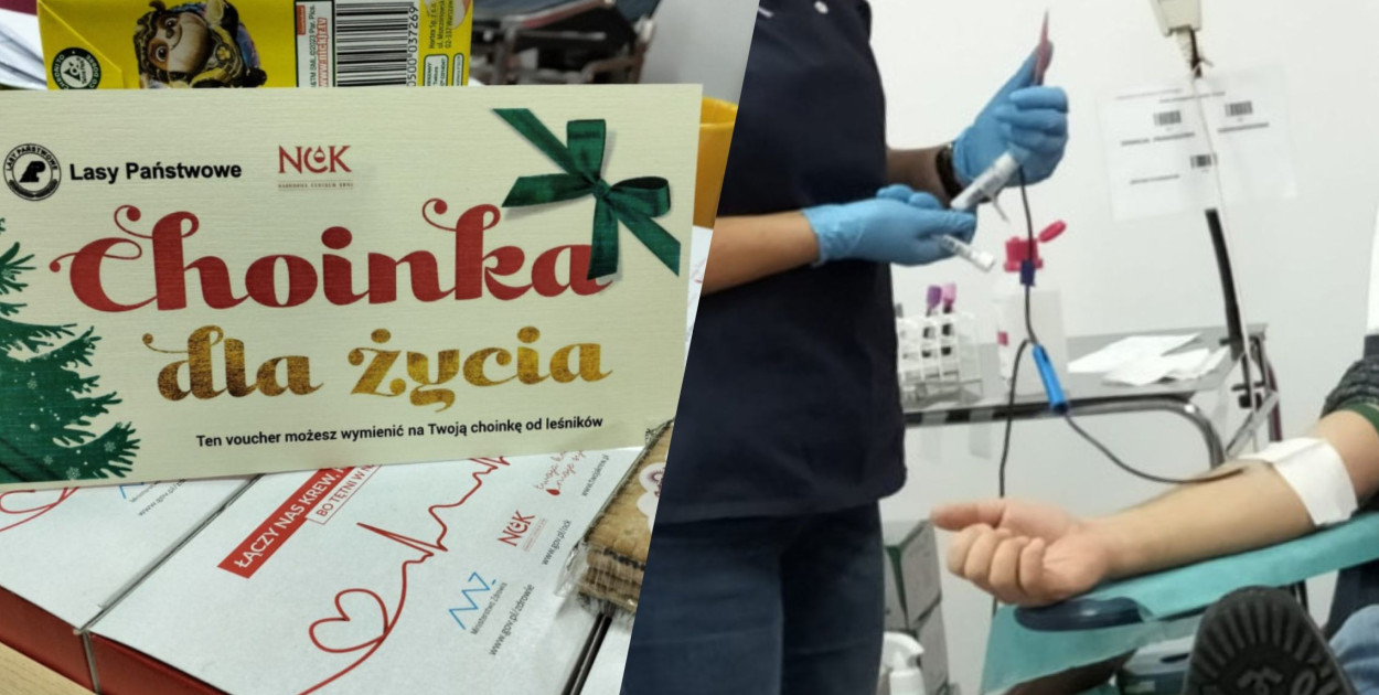 fot. archiwum/nadesłane