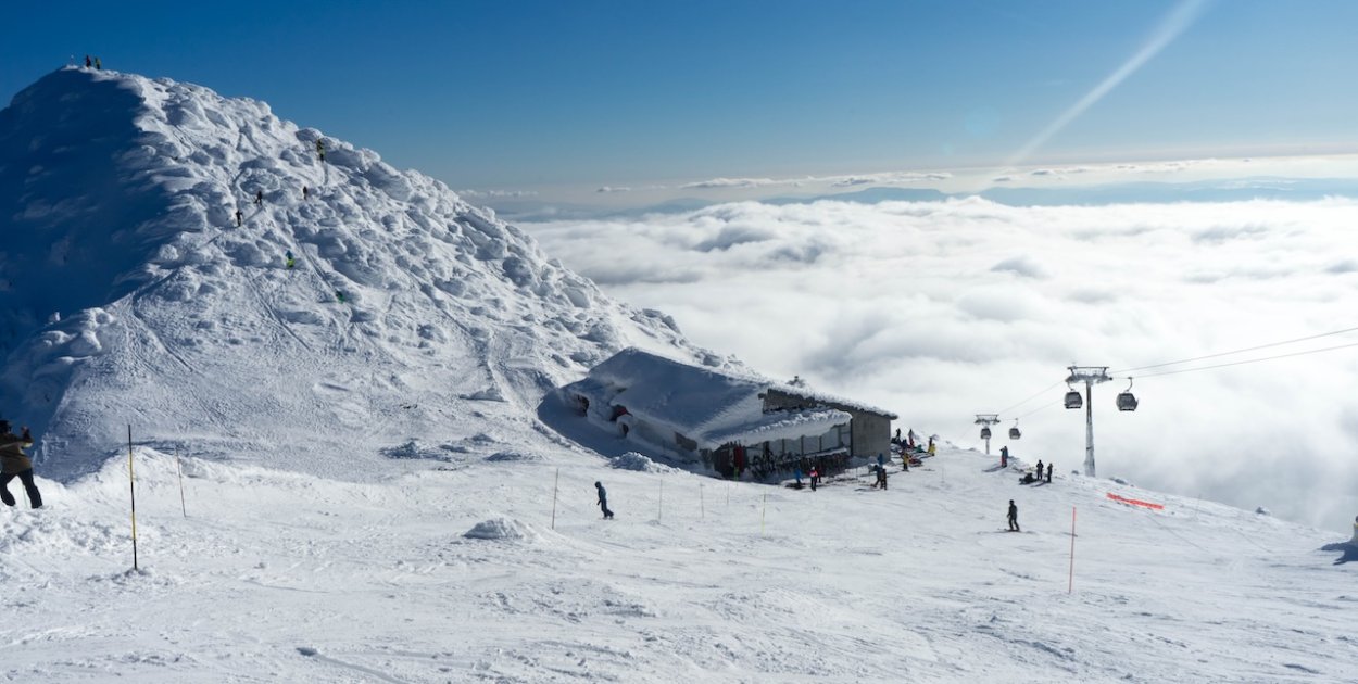 adellyne - stock.adobe.com