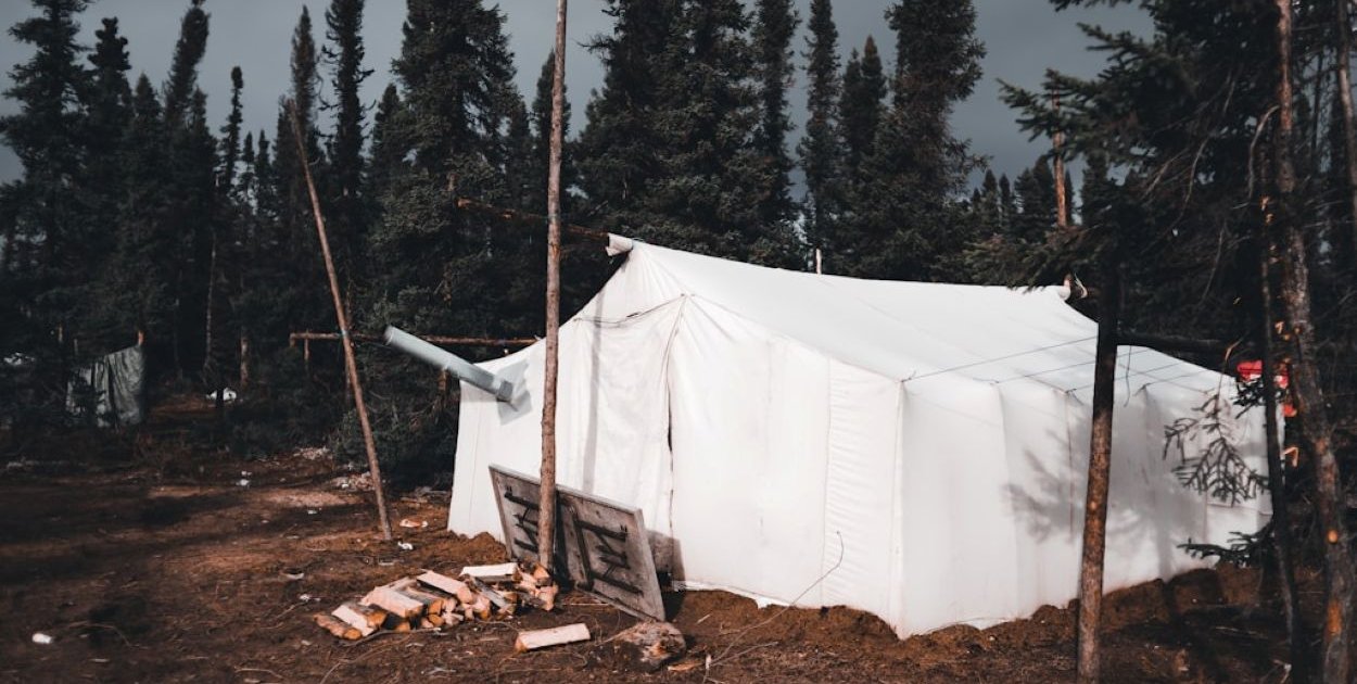 unsplash.com Licencja: https://unsplash.com/license