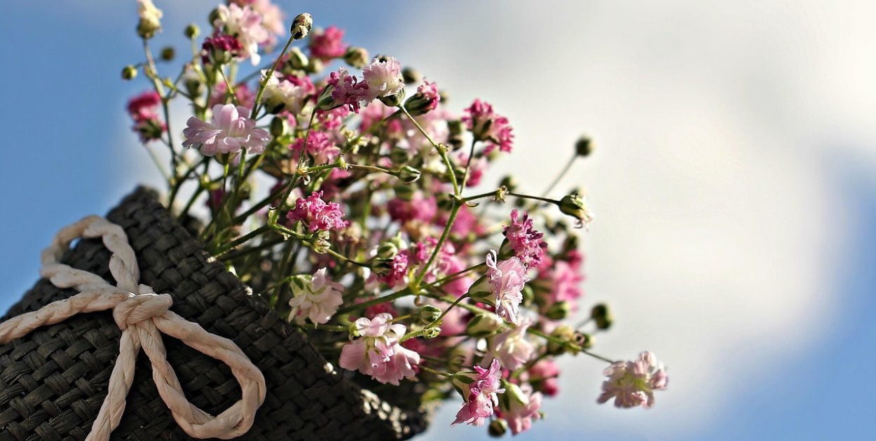 Image by NoName_13 from Pixabay.com