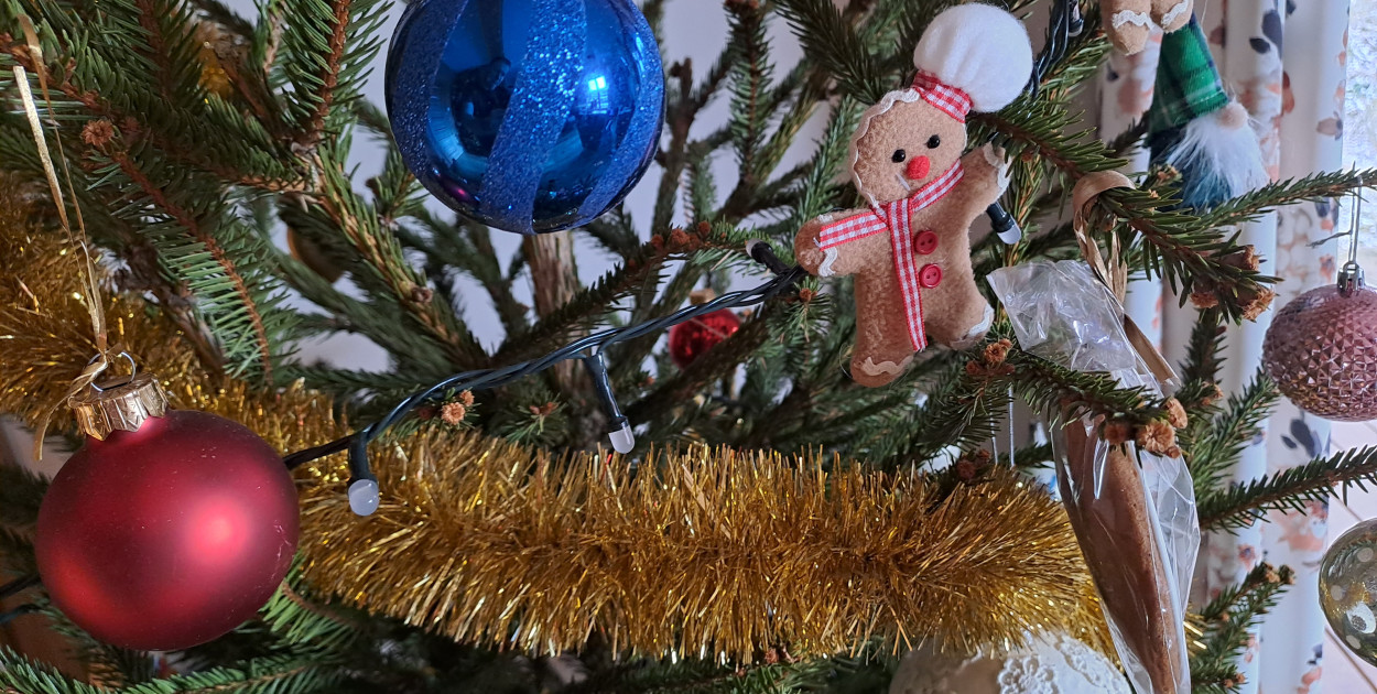 Zdjęcie ilustracyjne. fot.archiwum