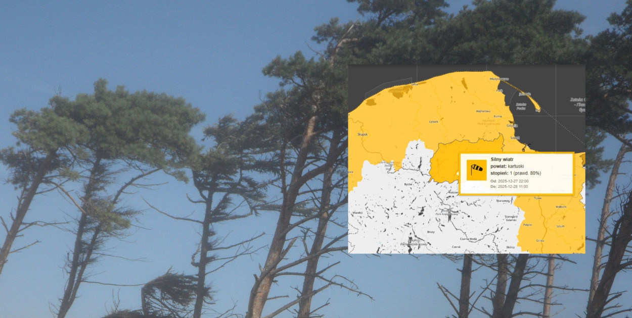 Zdj. ilustracyjne. fot. pixabay