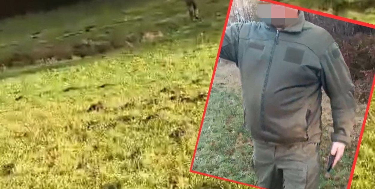 fot.kolaż.oprac.W.D./screen/YT